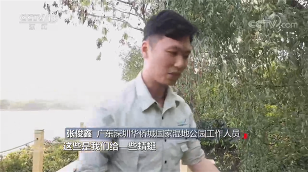 1623115842928022.png 8.png